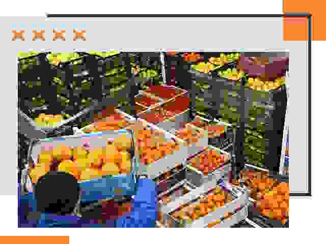 Перевозка скоропортящихся продуктов в Анапе